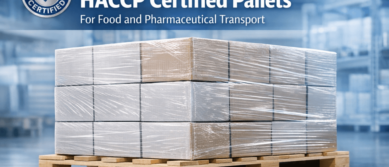 HACCP Pallets for Food and Pharmaceutical Transport